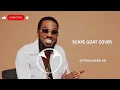 Dbanj Scape Goat official video [cover] visualizer