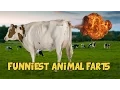 Lagu 6 Funniest Animal Farts of All Time