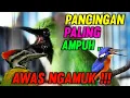 Download Lagu MASTERAN UNTUK MEMANCING CUCAK IJO BIAR GACOR DAN EMOSI