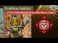 Download Lagu Sakini- Mooladhara Chakra - goddesses of Kundalini - Lalitashasranamam