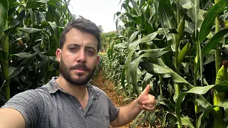 A bolha estourou preço de terra começou a cair na minha região em MG ⚠️
