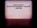 Boards Of Canada - Blood In The Labyrinth / Collapse / Deep Time