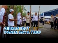 Download Lagu Gibran Rakabuming Ikut Panen Raya Tebu di Banyuwangi