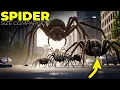Spider Size Comparison 3D 2026 From Micro to Monster