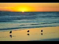 Three little birds for Abed