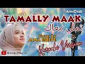 Download Lagu AmrDiab - TAMALLY MAAK || Alma Covered || تملي معاك - ألما || KARAOKE - LYRICS || #viral 2024
