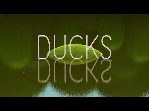 DUCKS | Short Film | Teaser Trailer
