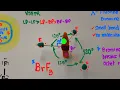 A Minute with a Molecule BrF3