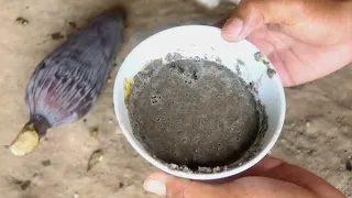 Great Technique For Grafting Banana Tree Growing fast with Salt And duck eggs