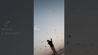 حمام في مارع مكبت عزاز 