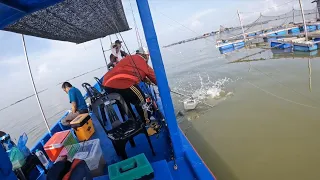 vlog#284 BANTAL EMAS TEWAS DI SPORT PERTAMA..#sangkarsgudang #mat #fishing