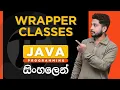 Java Tutorial - 39 Wrapper Classes in Java Sinhala