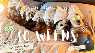 SPA DAY WITH TEN WEENS Ft. DREAME