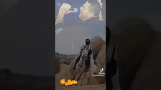 لو الدهب غالي  عمرو دياب دندنها
