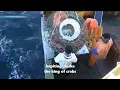 Download Lagu Penangkapan kepiting alaska, the king of crabs #kepiting #crabs #bigcrabs #kingcrabs #kepitingalaska