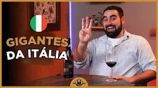 BRUNELLO, BAROLO ou AMARONE? QUAL É MELHOR?