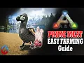 Easy Prime Meat Ark Survival Evolved Guide