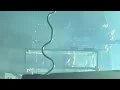 LANY - Malibu Nights (Live in Hong Kong 2026)