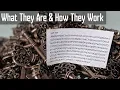 SSH Keys What They Are and How They Work