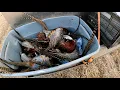 Olsens Pheasant Phun 2021