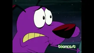 كوردج الجبان 