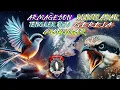 Download Lagu MASTERAN CENDET FULL TEMBAKAN PANJANG || armagedon gereja tarung kuntilanak tengkek buto manggar