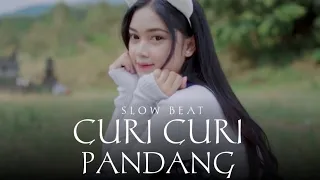 slow beat curi curi pandang dj topeng remix