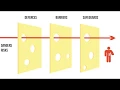 Reasons Swiss Cheese Model