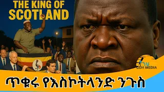 እብዱ አሚን ዳዳ 