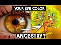 The Genetic Mutations Behind Every Eye Color