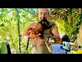 Download Lagu У нас за одно утро уже  ВТОРОЙ РАЗ уносят котенка Мону, Анфиса РУГАЕТСЯ!!!