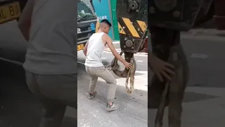                                                                                          دندنها