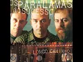 Os Paralamas do Sucesso - Seguindo Estrelas  #mpbsaudade #paralamasdosucesso #mpbantigas