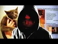 Internet VS Cat Killer