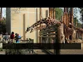 5 Cheap Things To Do in Fresno California