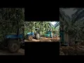 Download Lagu story'wa truk sawit#shortvideo #youtubeshorts #sawitkalimantan