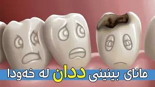 مانای بینینی ددان لە خەودا چیە 