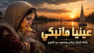 عينا ما تبكي   ايمان المغربية   رائعة كمال ترباس   الحوت محمود عبد العزيز دندنها