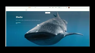 An Introduction to StoryMaps