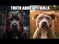 Are Pitbulls Dangerous The Full Truth Explained