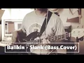 Download Lagu Balikin - Slank (Bass Cover)