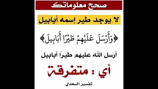 طير ابابيل 