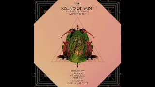 sound of mint kolinga salmani remix 