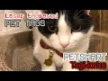 I Bought the Ultimate Custom PET Name Tag Review15