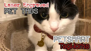 I Bought the Ultimate Custom PET Name Tag Review15