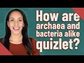 How are archaea and bacteria alike quizlet