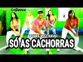 Download Lagu SÓ AS CACHORRAS _ BONDE DO TIGRÃO