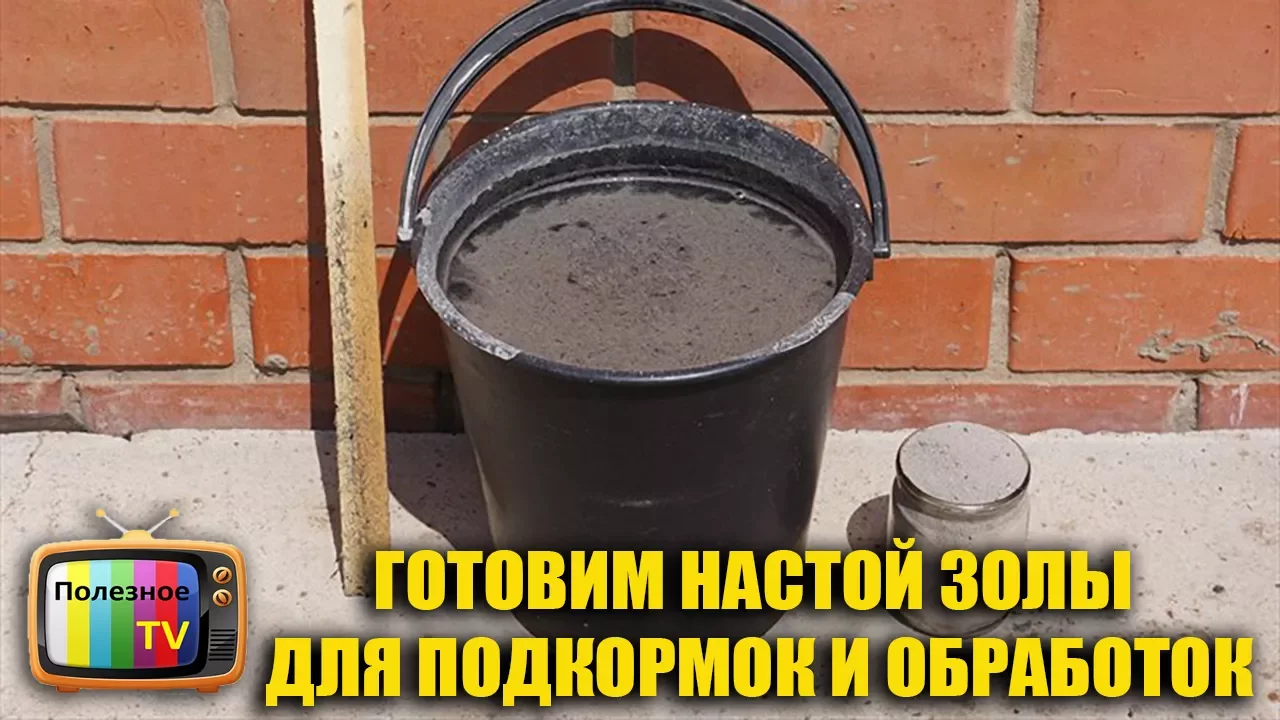 Как приготовить настой золы. Раствор древесной золы. Как приготовить настой золы. Подкормка древесной золой. Удобрение из золы.