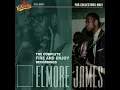 I Gotta Go Now - Elmore James