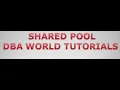 SHARED POOL Memory in Oracle Database